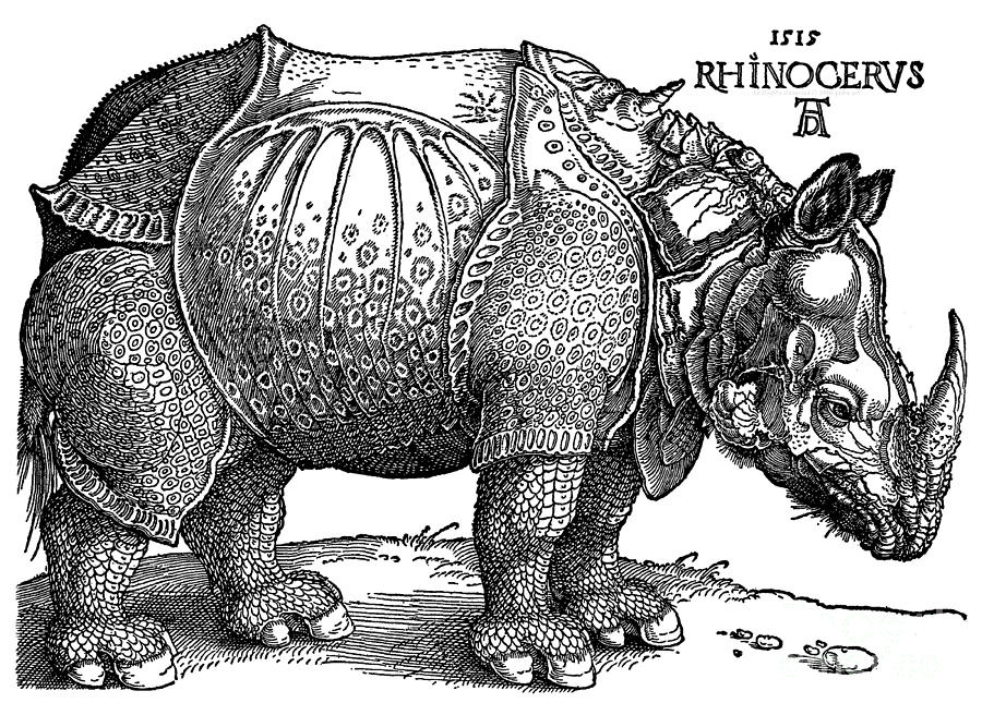 ARTCANVAS The Rhinoceros 1515 Canvas Art Print by Albrecht Durer