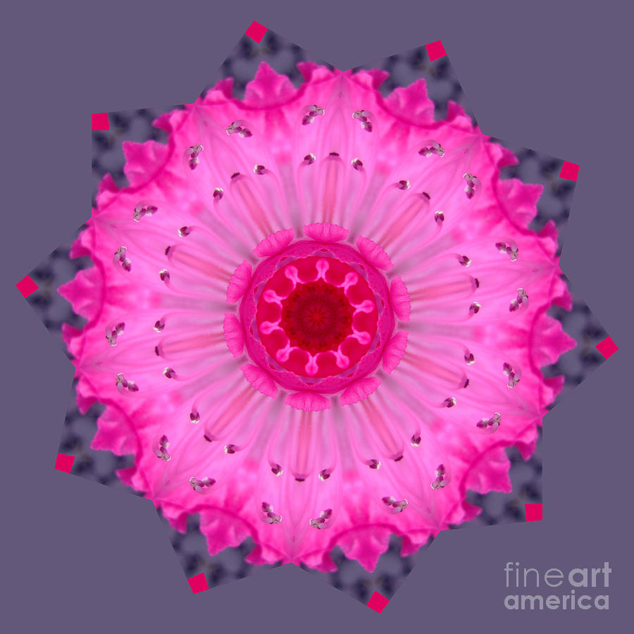 Rhoda Mandala Digital Art by Julia Underwood