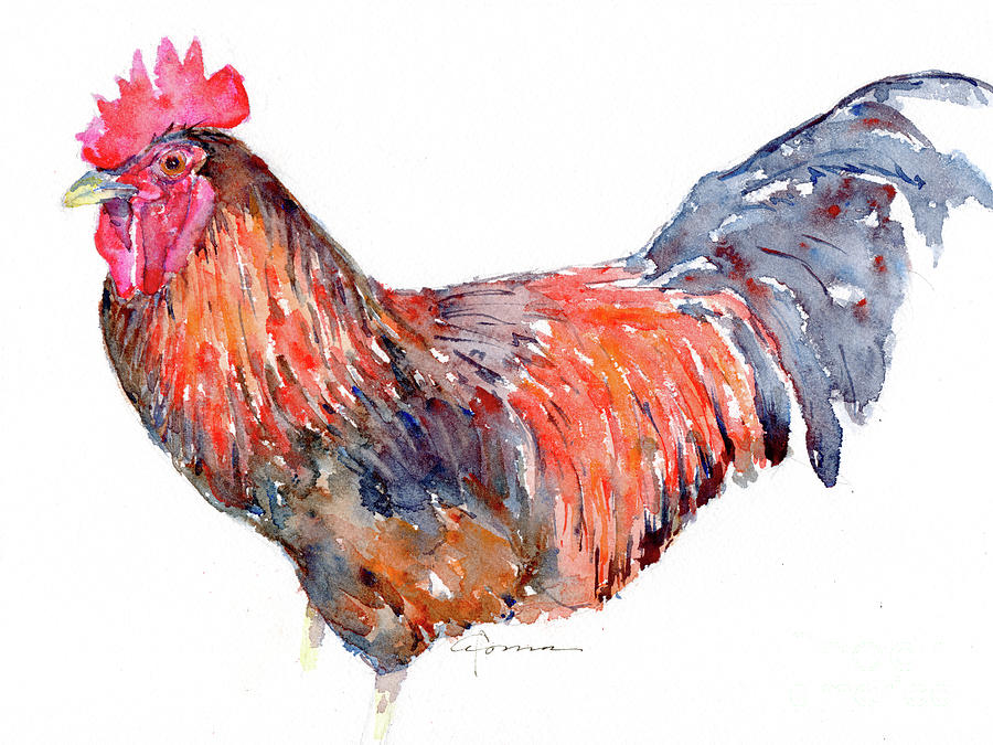 Rhode Island Red Rooster Painting by Claudia Hafner