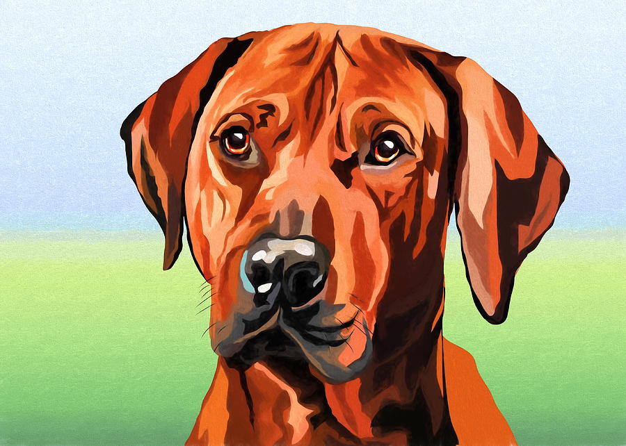 ridgeback 2