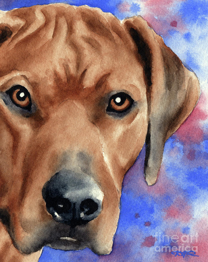 Rhodesian ridgeback hot sale painting