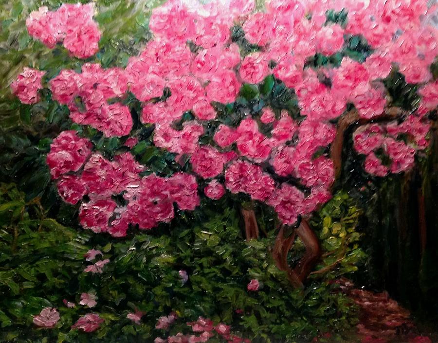 Rhododendron at Everett Arboretum by J Reynolds Dail Rhododendron at Everett Arboretum by J Reynolds Dail