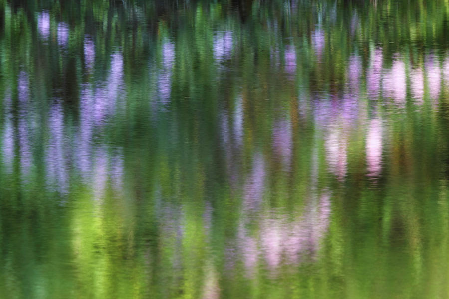 Rhododendron Impressionism Photography Photograph by Juergen Roth