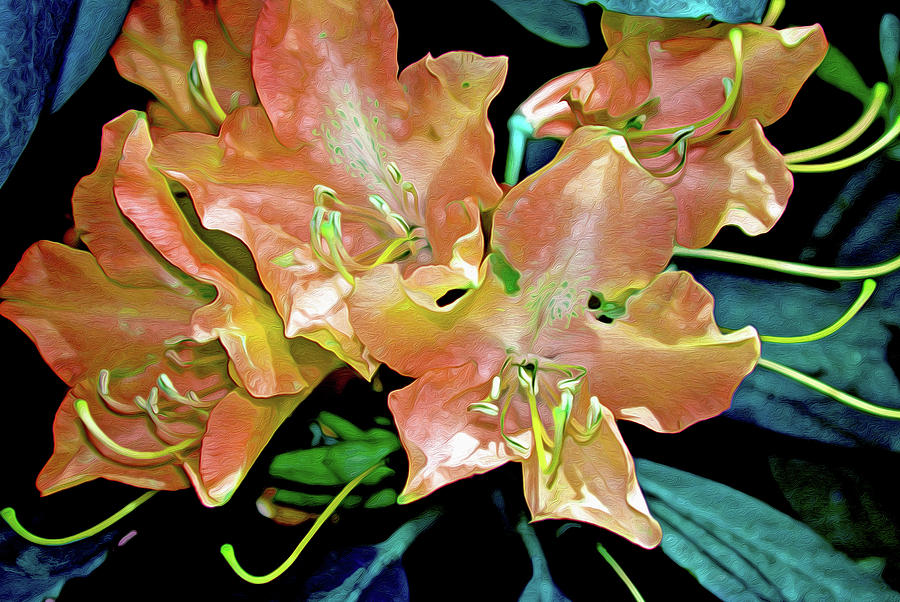 Rhododendron Glory 15 Digital Art by Lynda Lehmann
