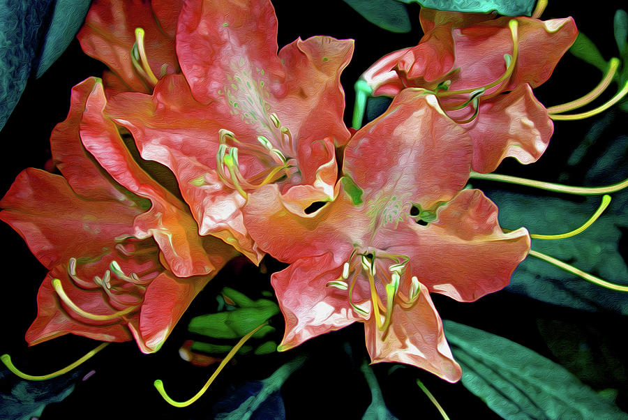 Rhododendron Glory 16 Digital Art by Lynda Lehmann