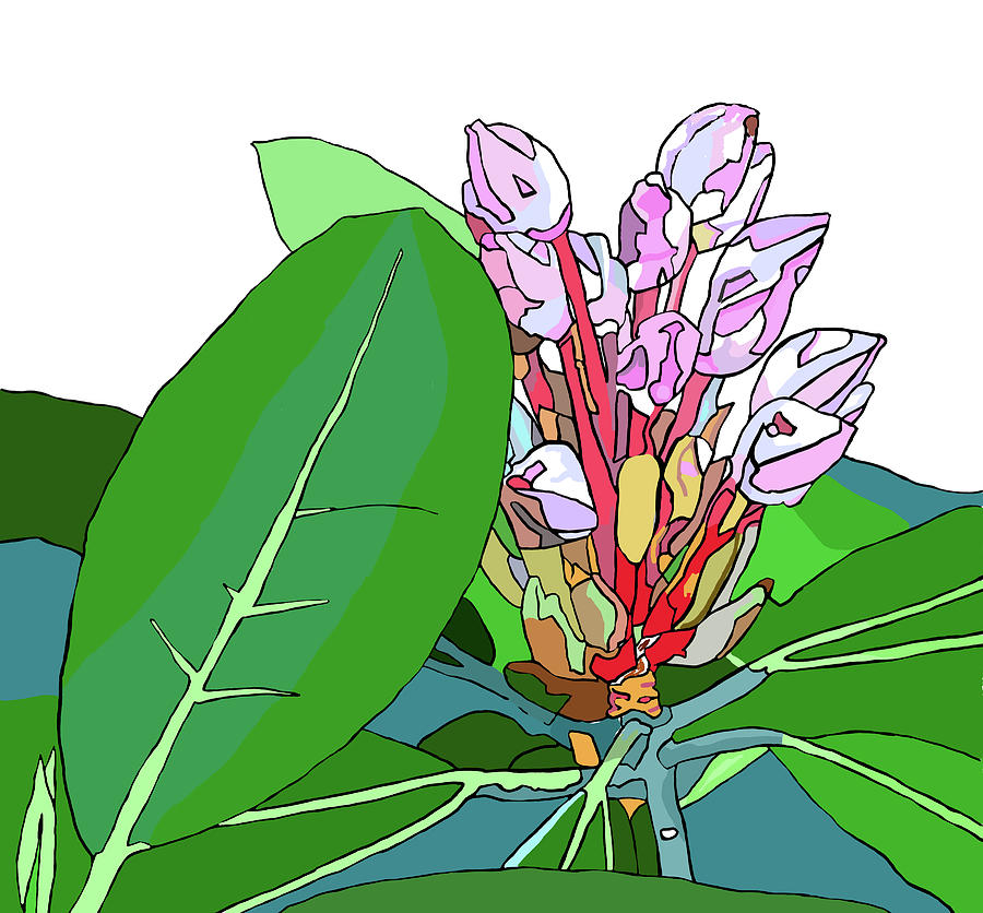 Rhododendron Graphic Painting by Jamie Downs