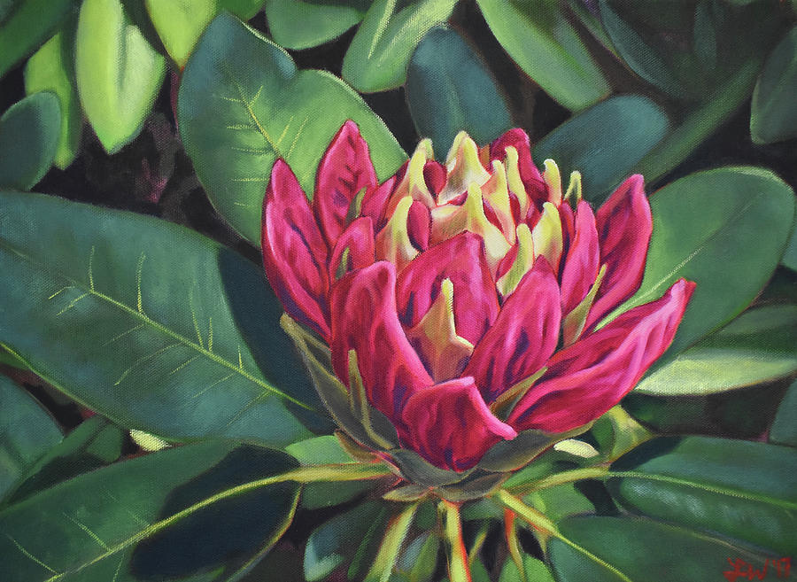 Rhododendron Painting - Rhododendron Opening by Lauren Waterworth Rhododendron Painting - Rhododendron Opening by Lauren Waterworth