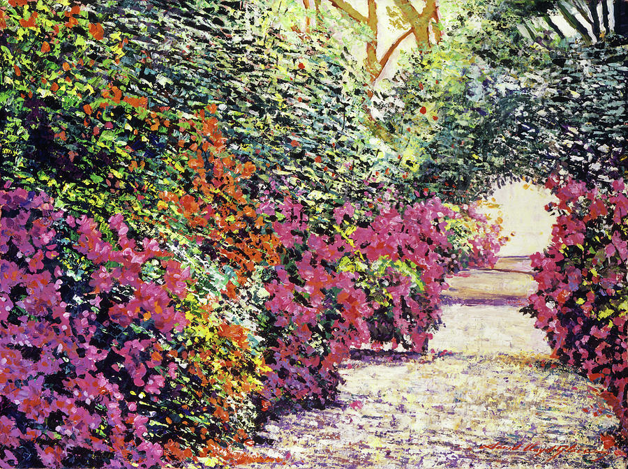 Rhododendron Pathway Exeter Gardnes Painting by David Lloyd Glover