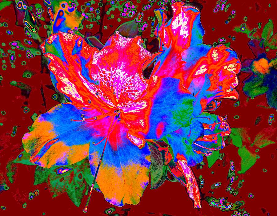 Rhododendron Robusto Digital Art by Larry Beat
