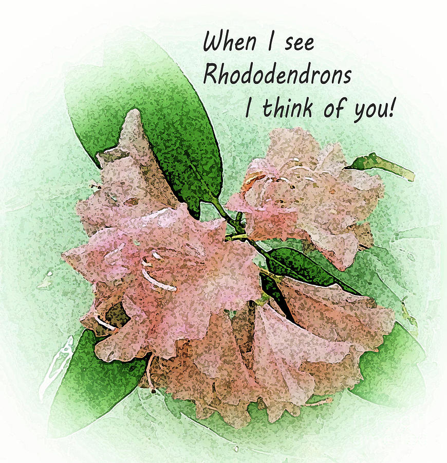 Rhododendrons Remind Me of You Mixed Media by Rita Brown