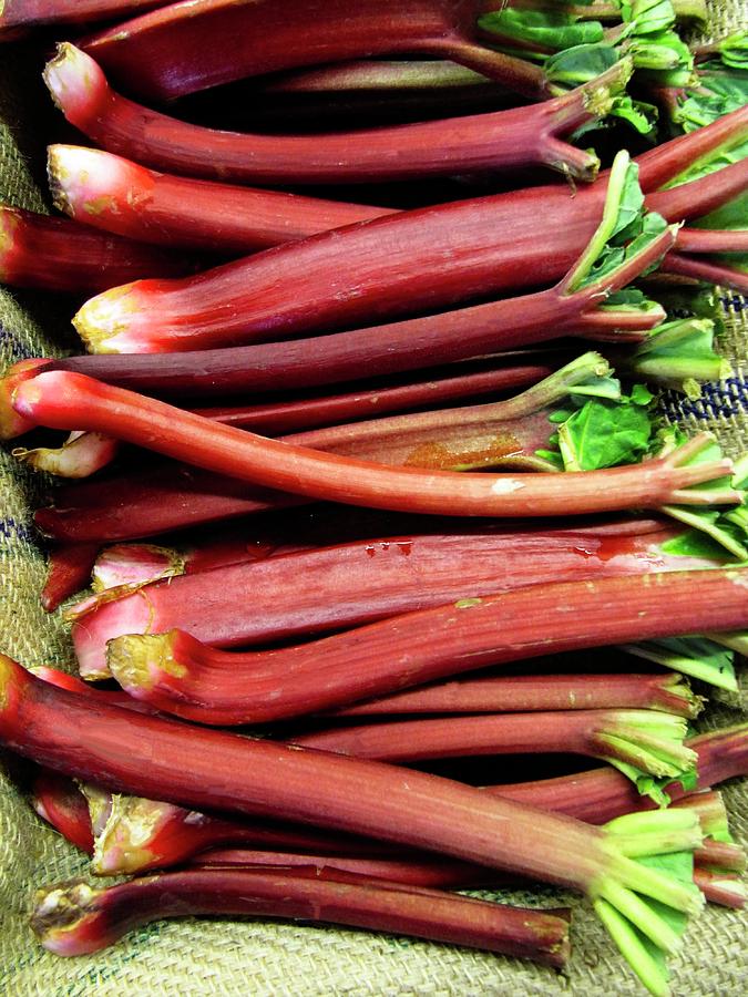 Rhubarb At The Farmers Market Photograph