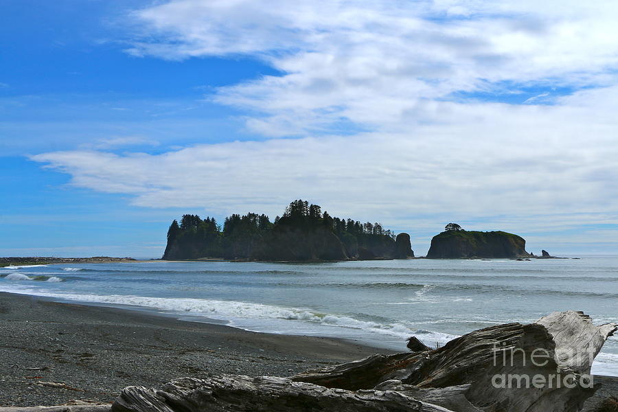 Rialto Beach With Driftwood Photograph by Christiane Schulze Art And Photography
