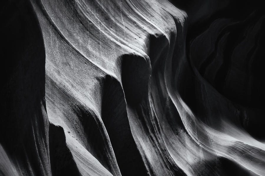 Ribbed Black and White Photograph by Nicholas Blackwell