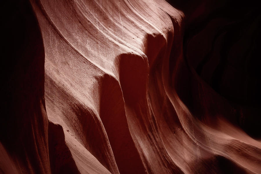 Ribbed Photograph by Nicholas Blackwell
