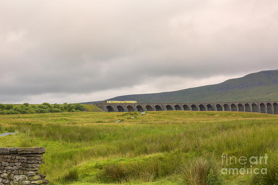 Ribblehead viaduct with train Photograph by Patricia Hofmeester