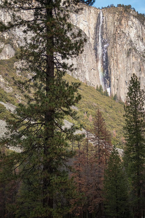 Ribbon Fall Yosemite California Photograph by Adam Rainoff