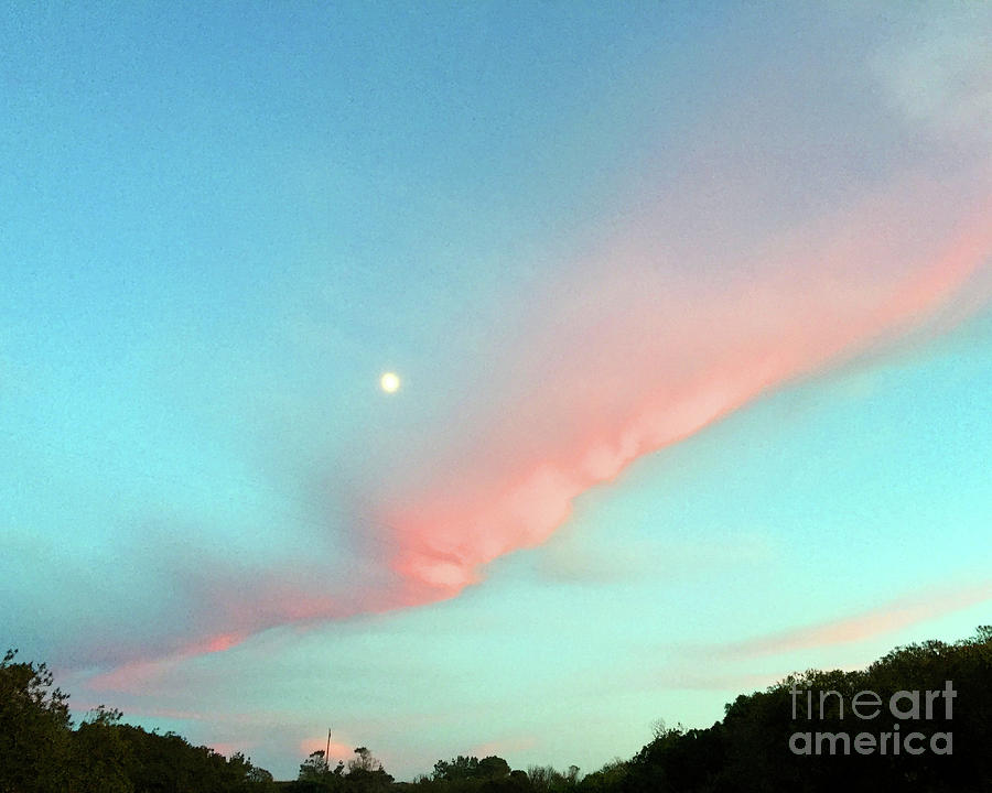 Ribbon of pink and moon  Photograph by Paula Joy Welter