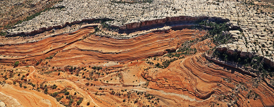 Ribbon of Rock in Canyonlands Photograph by Jean Clark