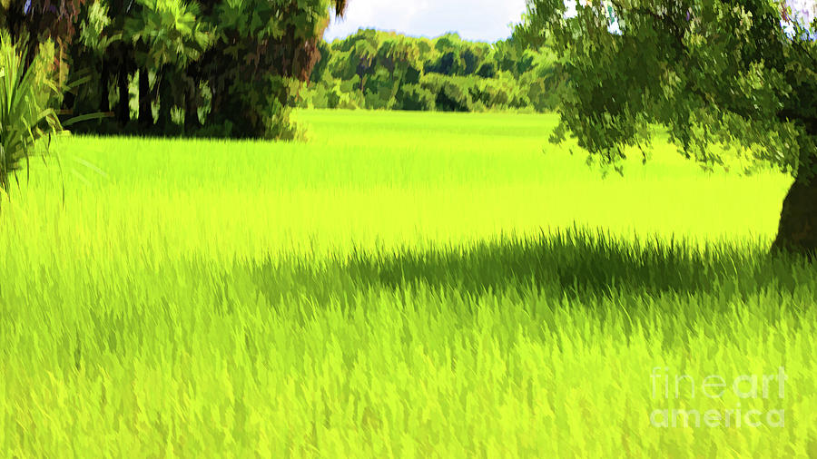 Landscape Photograph - Rice Fields Cambodia Green  by Chuck Kuhn