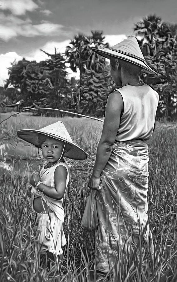 Rice Paddy Fishing Bw Photograph
