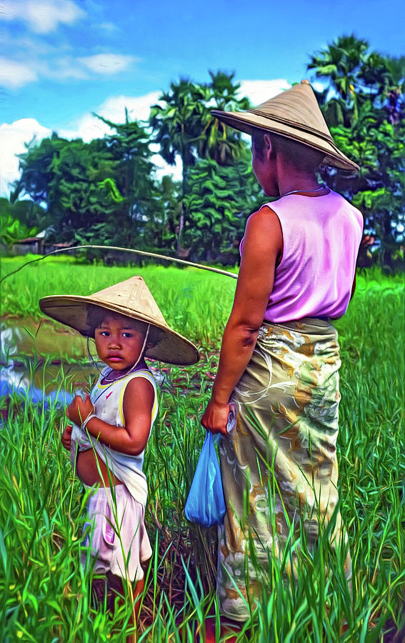 Rice Paddy Fishing Photograph by Steve Harrington