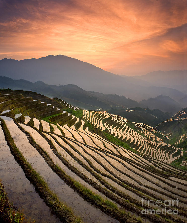 Rice Terraces At Sunset Photograph by Howie Garber