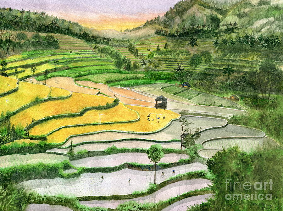 Ricefield Terrace II Painting by Melly Terpening