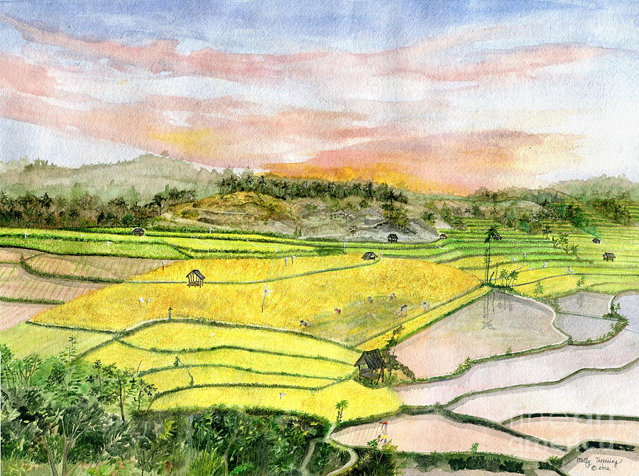Ricefield Terrace Painting by Melly Terpening