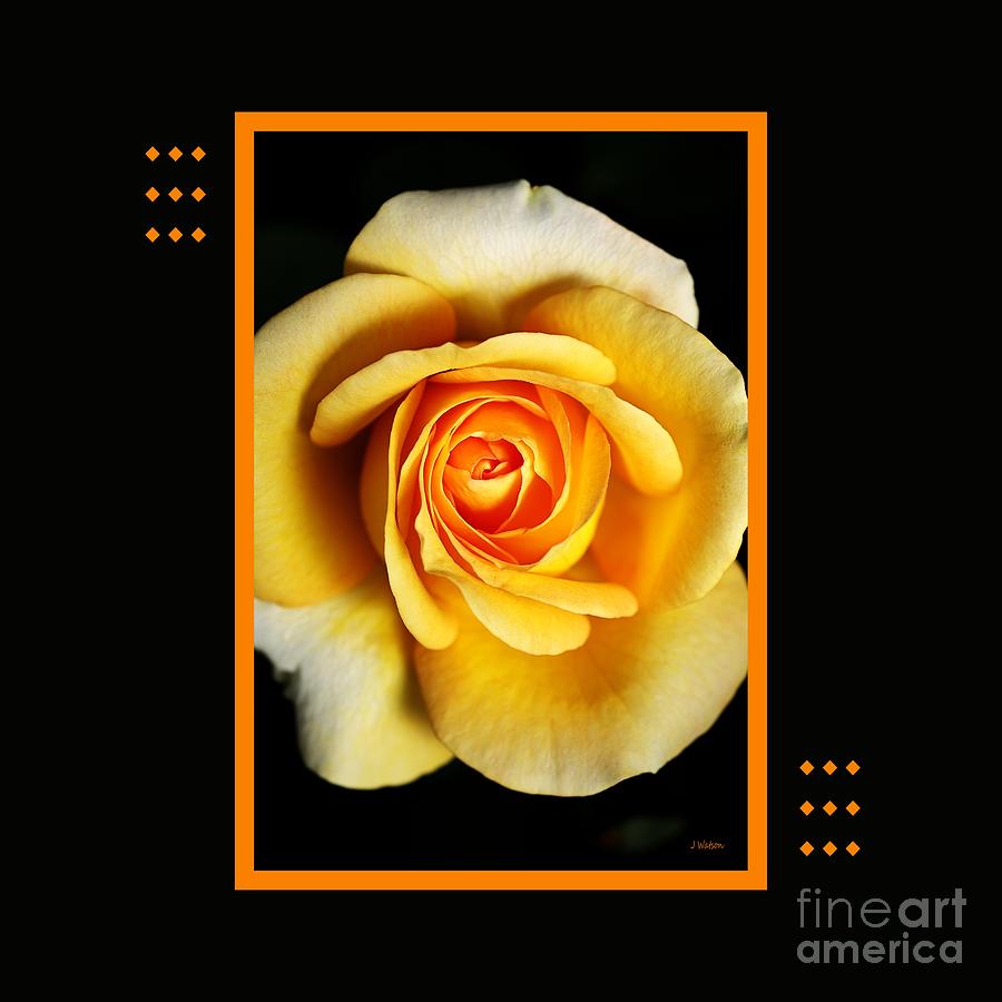 Nature Photograph - Rich And Dreamy Yellow Rose  With Design by Joy Watson