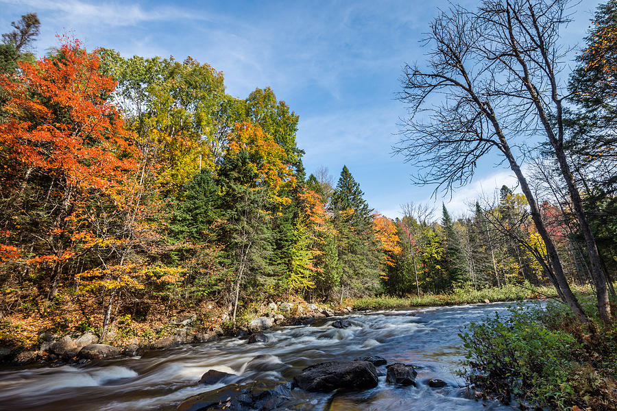 Rich Colors Of An Autumn Forest On A Stony Riverside Photograph by ...