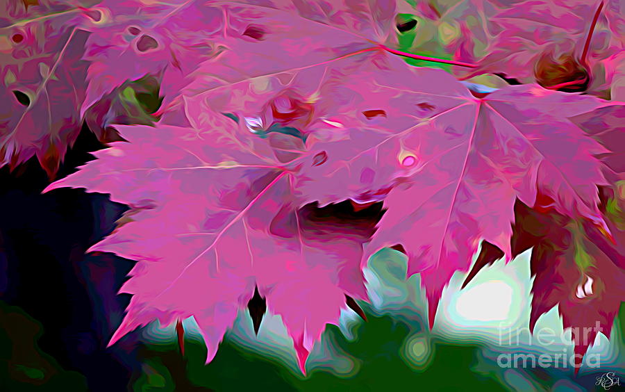 Rich Red Autumn Maple Leaves Melting Colors Effect Photograph by Rose Santuci-Sofranko