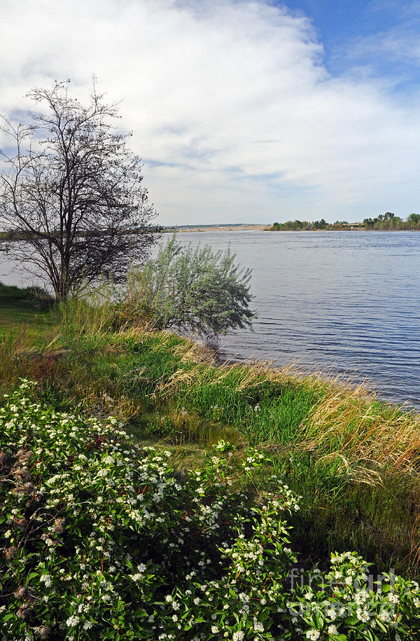 Richland WA Howard Amon park Photograph by Cindy Murphy - NightVisions ...