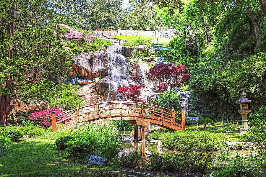 Richmond VA Virginia - Maymont Japanese Garden Bridge - In Color Photograph by Dave Lynch