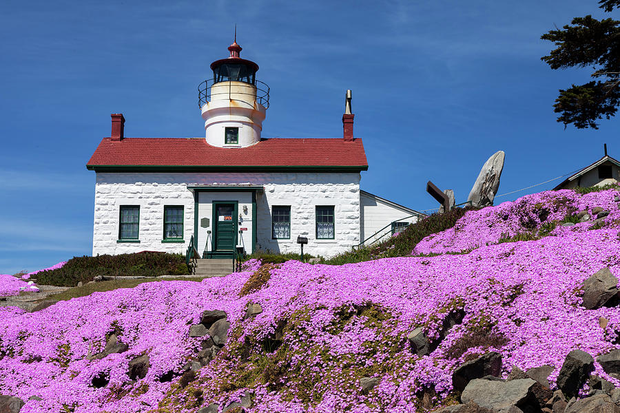 Battery Point Lighthouse Photograph by Rick Pisio