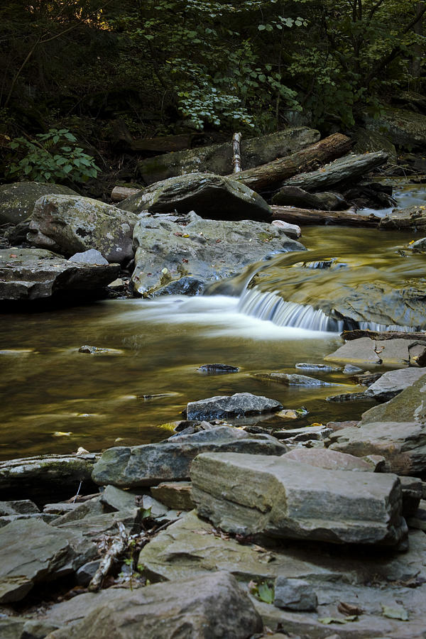 Waterfall Photograph - Ricketts Glen 2 by Christina Durity