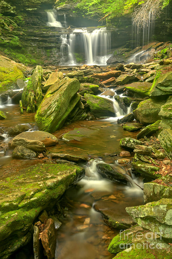 Ricketts Glen Streaming Waterfalls Photograph by Adam Jewell