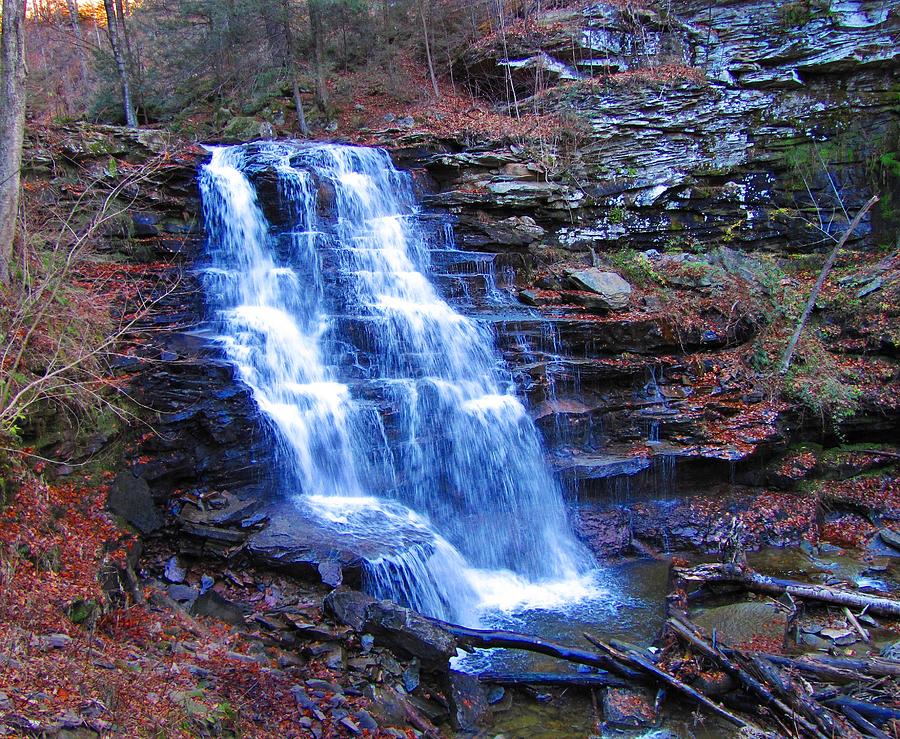 Ricketts Glen Waterfall 3941  Photograph by David Dehner