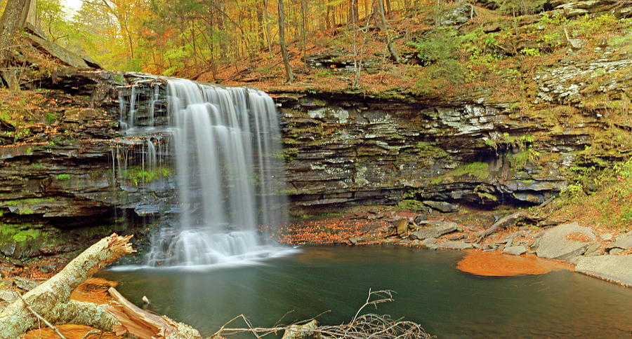 Ricketts Glen Park