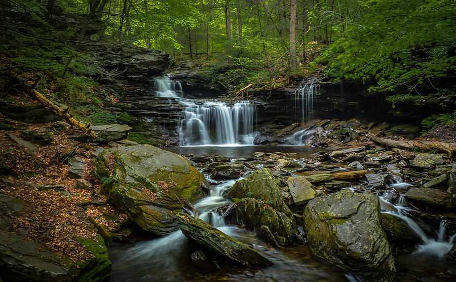 Ricketts Glen Waterfalls # 2 Photograph by Karel Machado - Fine Art America