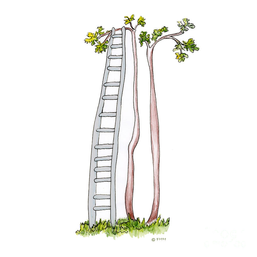Rickety Ladder Drawing by Fran Henig