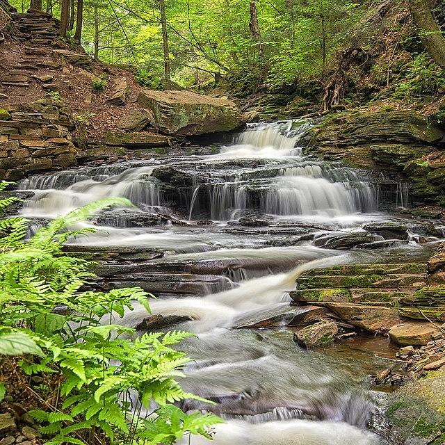 Waterfall Photograph - Rickeys Glen, Pennsylvania. Just by Mike Ince