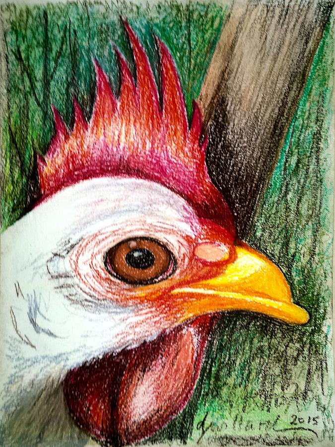 Chicken Drawing - Ricki 1 by Deborah Willard