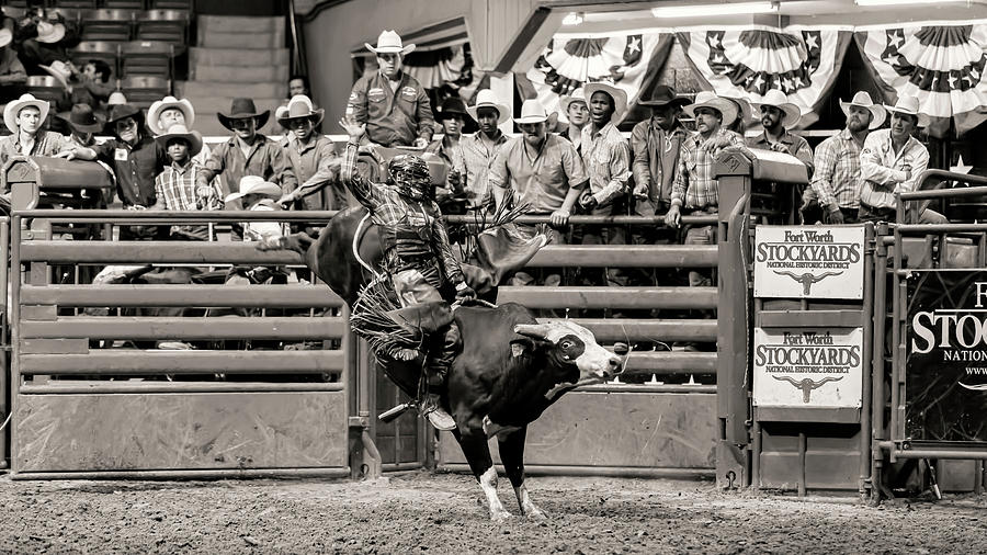 Ride Em Cowboy - #2 Photograph by Stephen Stookey