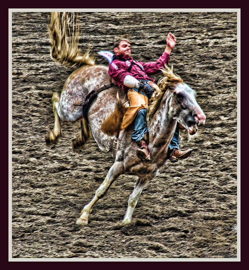 Ride em Cowboy Photograph by Ron Roberts