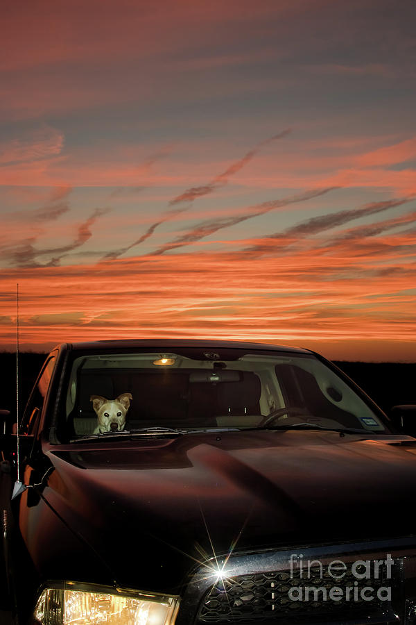 Sunset Photograph - Ride Into That Sunset by Robert Frederick
