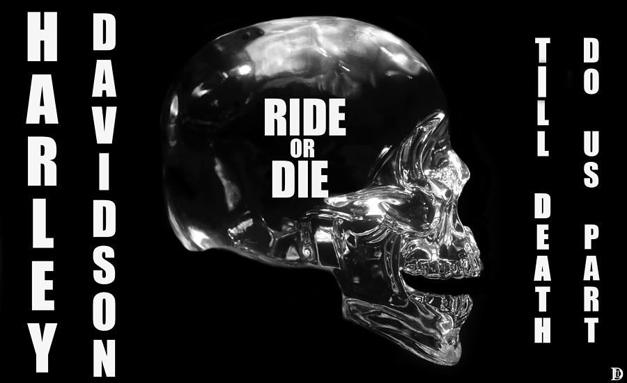 Ride or Die Photograph by David Lee Thompson