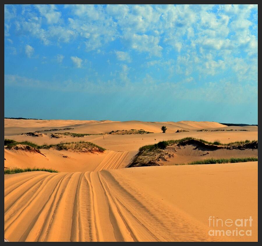 Ride the Dunes  Photograph by Randy J Heath