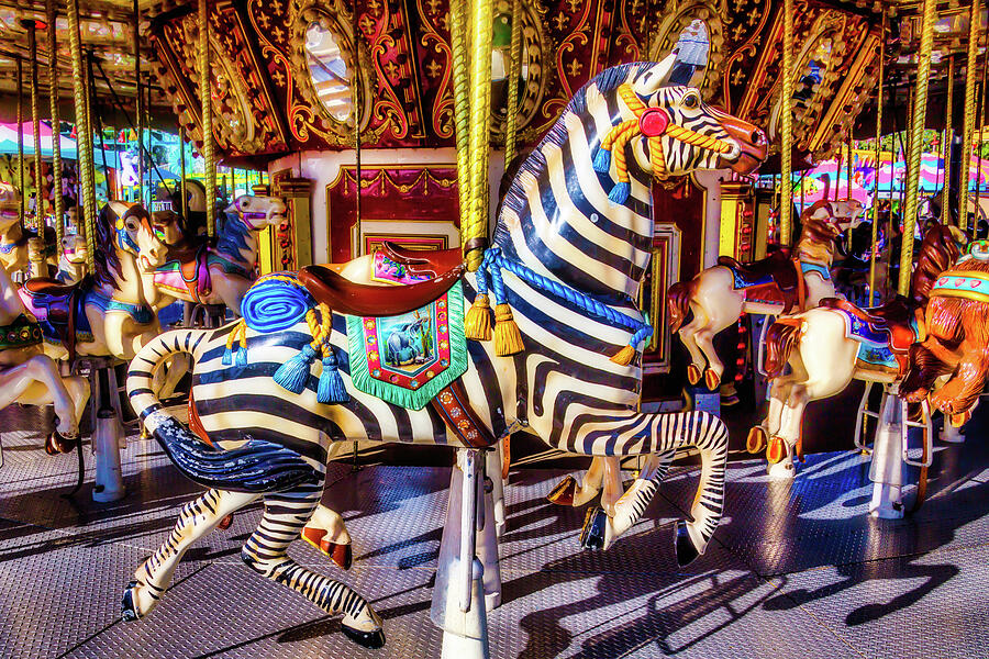 Zebra Photograph - Ride The Zebra by Garry Gay