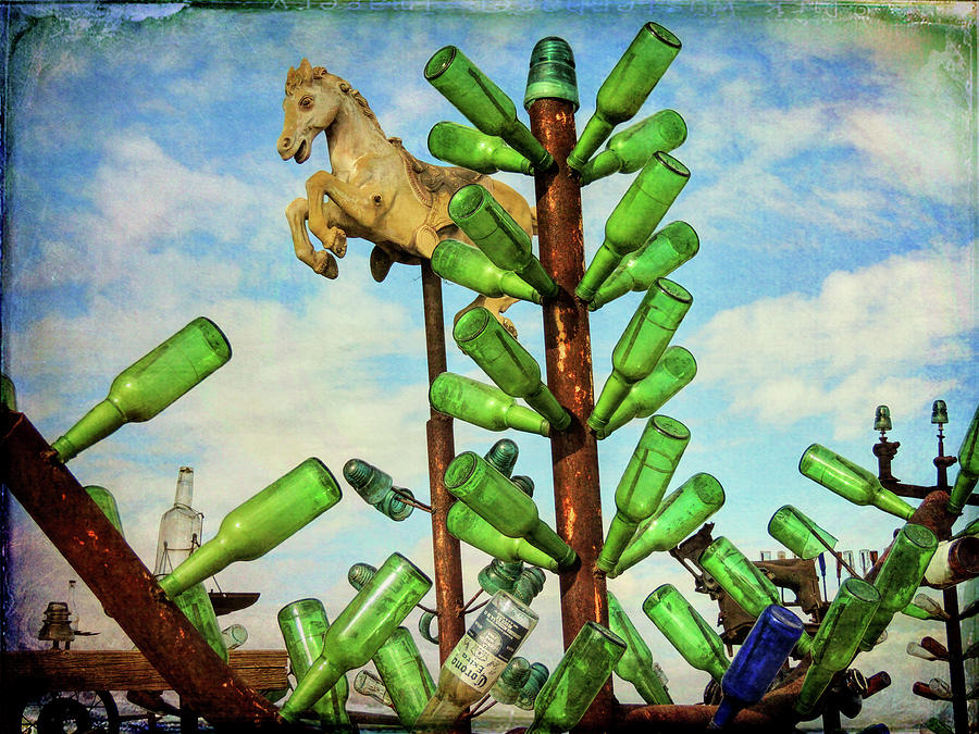 Ride Through a Green Bottle Forest Photograph by Donna Lee Young - Pixels