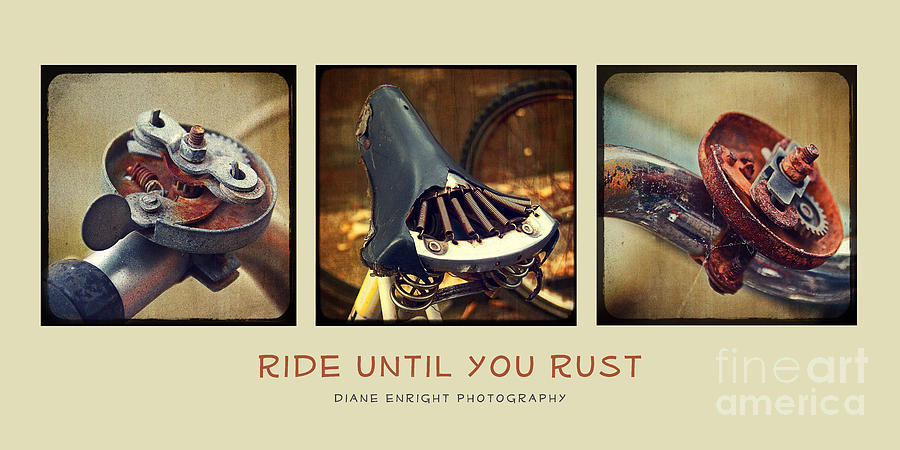 Ride Until You Rust Photograph by Diane Enright